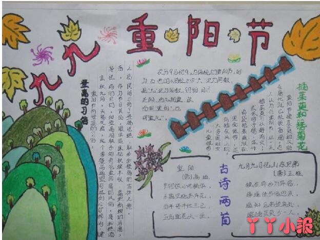 怎么画小学生关于九九重阳节的手抄报图片