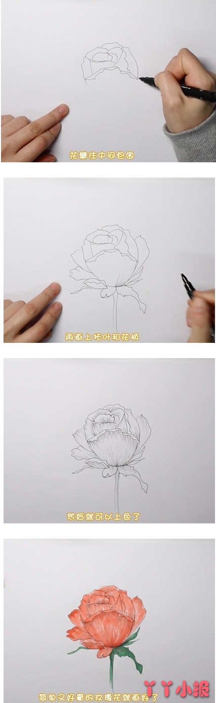 怎么画玫瑰花简笔画画法步骤教程涂颜色