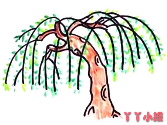 怎么画柳树简笔画教程简单又漂亮涂色