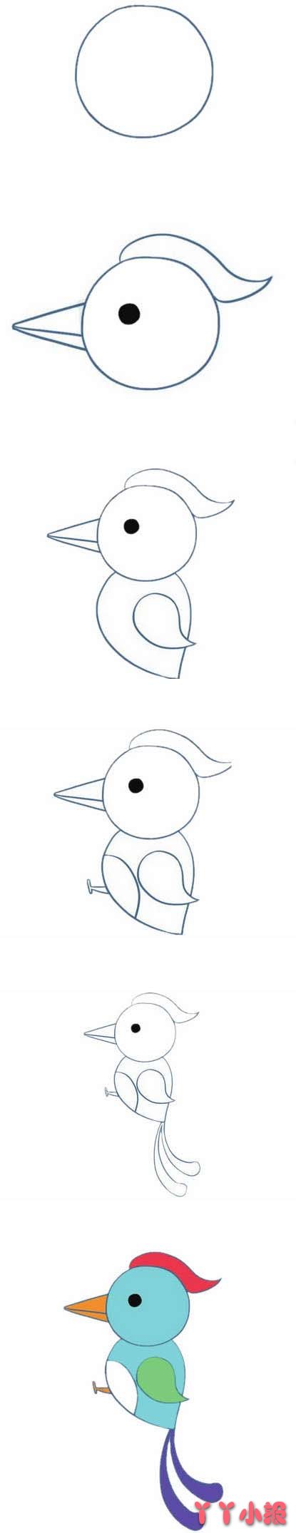 怎么画啄木鸟简笔画步骤图解涂色简单又漂亮