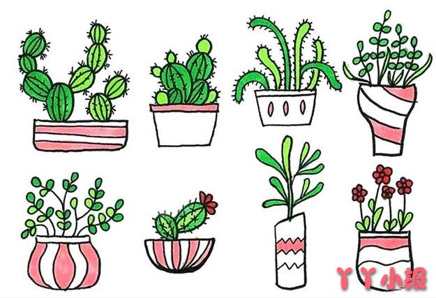 盆栽绿植怎么画 植物简笔画图片