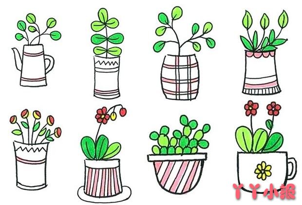 盆栽绿植怎么画 植物简笔画图片