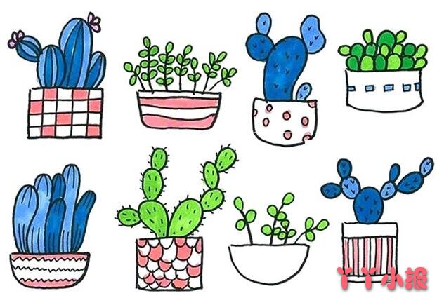 仙人掌盆栽怎么画简单漂亮 盆栽简笔画图片