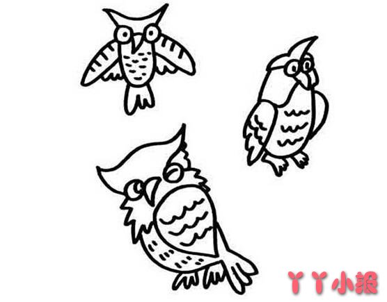 教你怎么画猫头鹰简笔画教程简单可爱