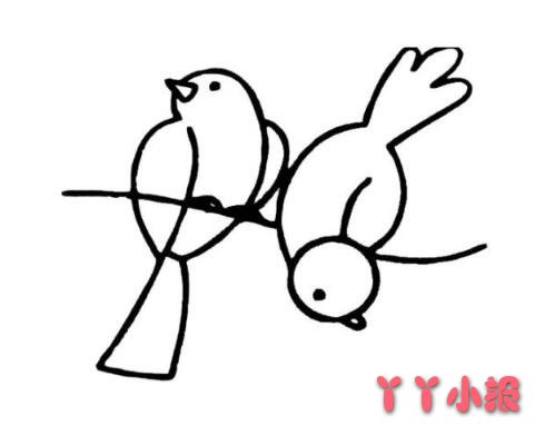 怎么画两只飞翔小鸟简笔画简单可爱