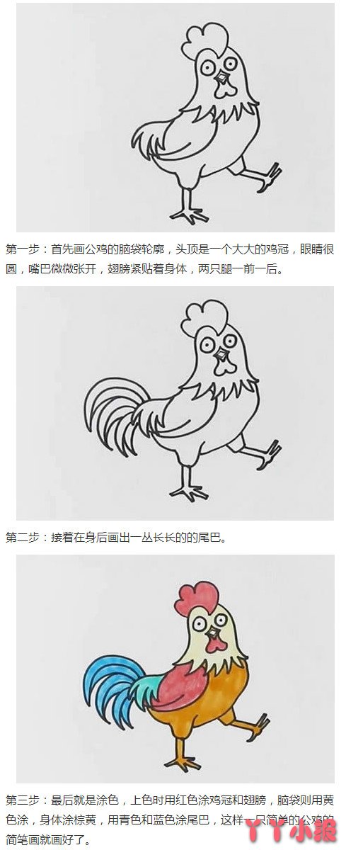 大公鸡的画法步骤教程涂色简单又漂亮