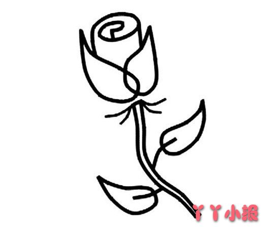 玫瑰花怎么画简单又漂亮 玫瑰简笔画图片