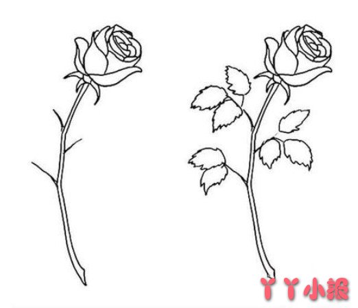 玫瑰花怎么画简单又漂亮 玫瑰简笔画图片