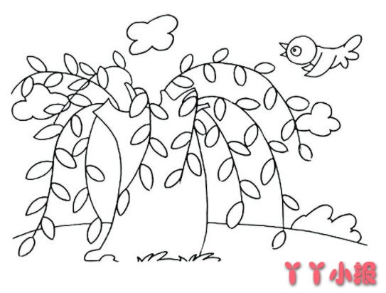 柳树怎么画简单又漂亮 柳树的简笔画图片
