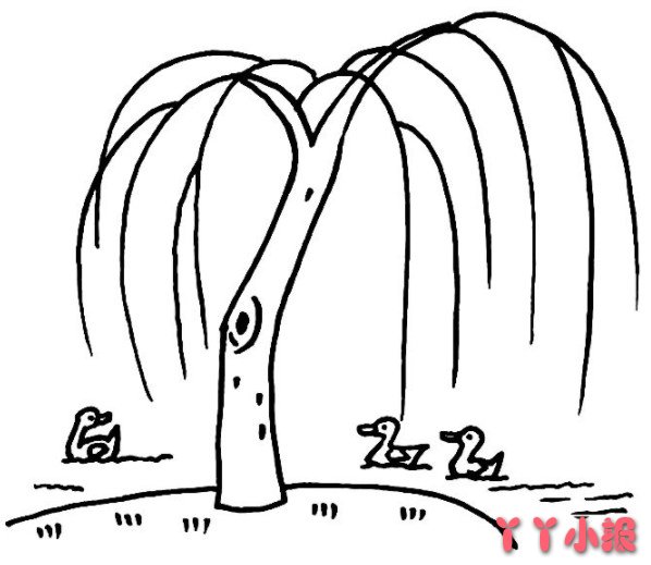 卡通柳树的画法步骤教程 柳树简笔画