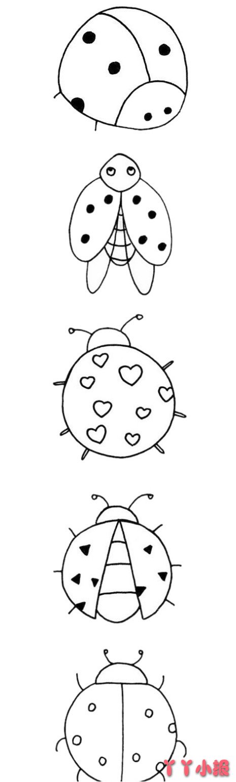 七星瓢虫怎么画简单又漂亮 瓢虫简笔画