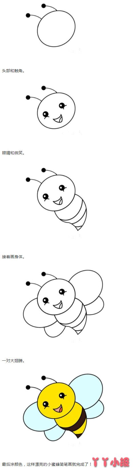 卡通小蜜蜂怎么画简单又漂亮涂色带步骤