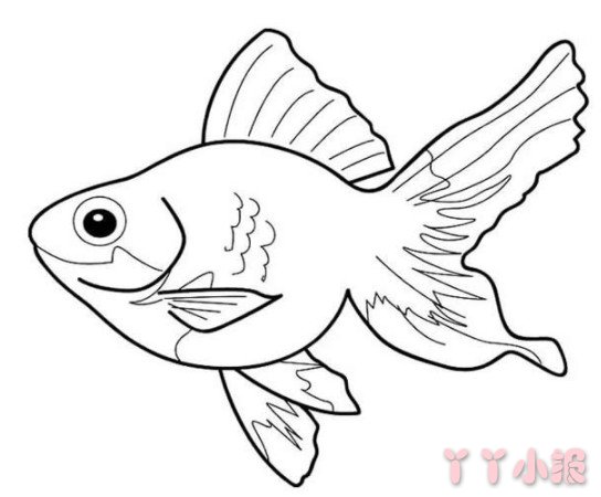 各种鱼的画法简单漂亮 鱼简笔画图片