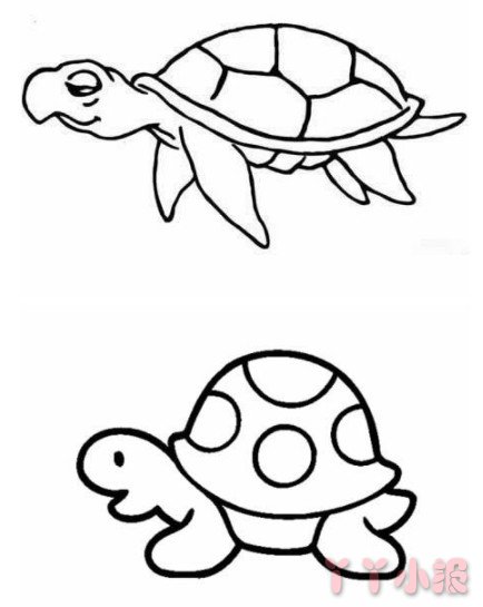 简单乌龟的画法教程 小乌龟简笔画图片
