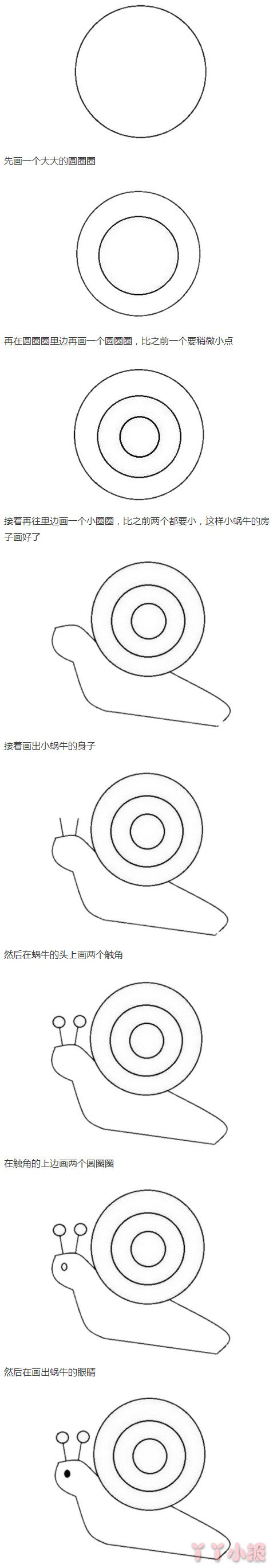 蜗牛的画法步骤图简单又可爱