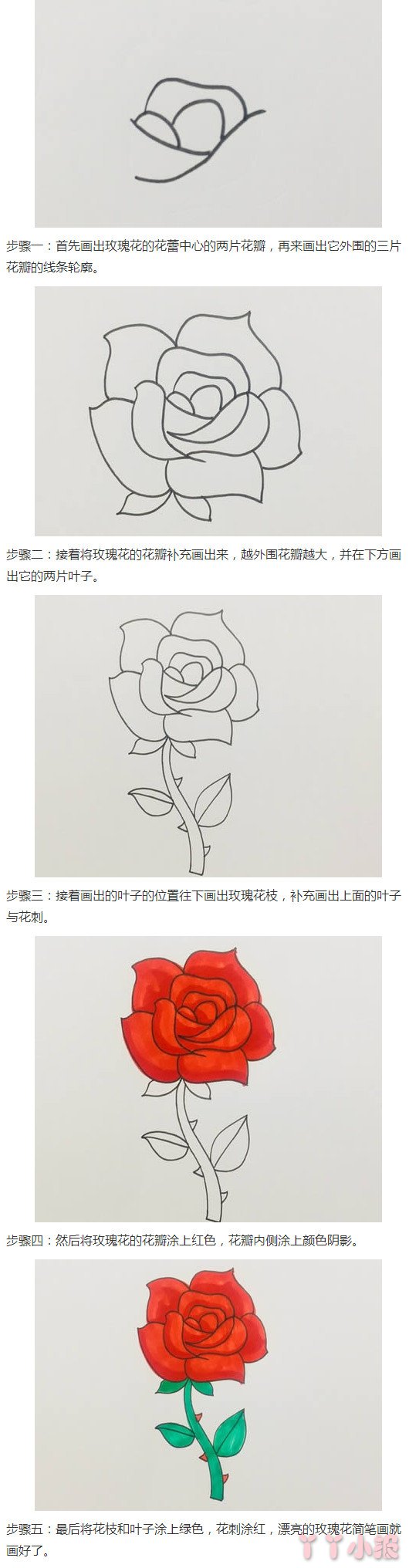 玫瑰花怎么画简单又漂亮带步骤图