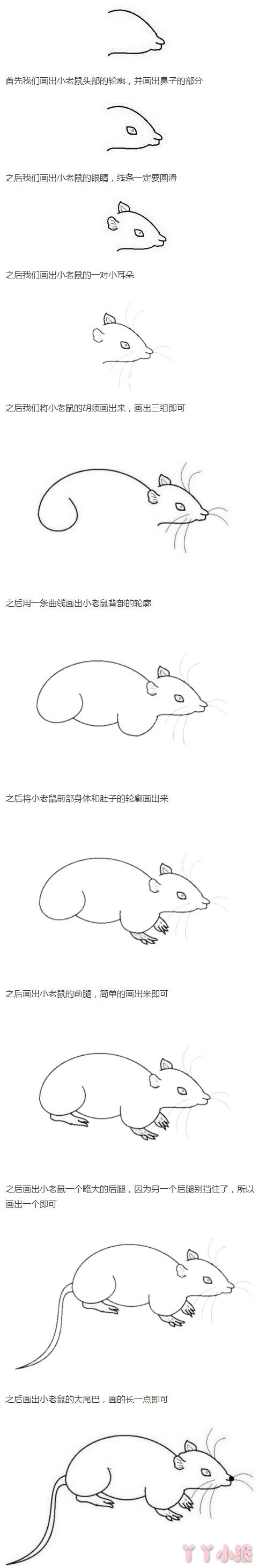 小老鼠的画法步骤图简单又好看