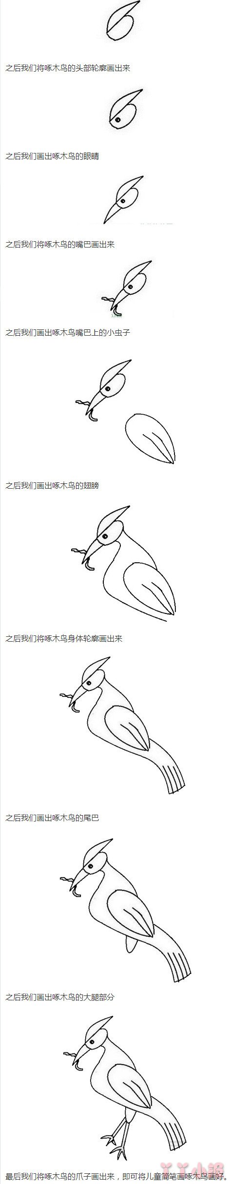 啄木鸟怎么画带步骤简单又好看