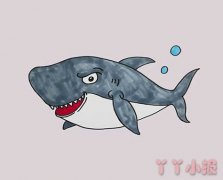卡通大鲨鱼怎么画涂色简单又好看