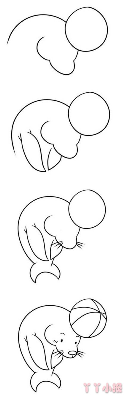 海狮顶球的画法步骤图解简单又可爱