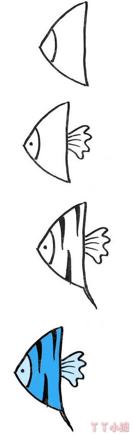 神仙鱼的画法步骤涂色简单 鱼简笔画图片