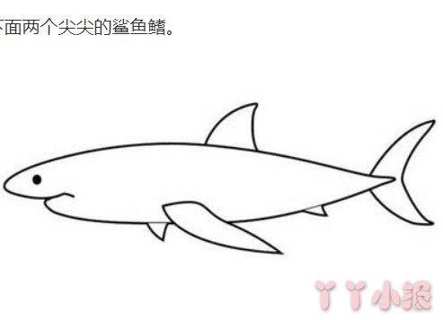 大白鲨怎么画带步骤图 鲨鱼简笔画图片