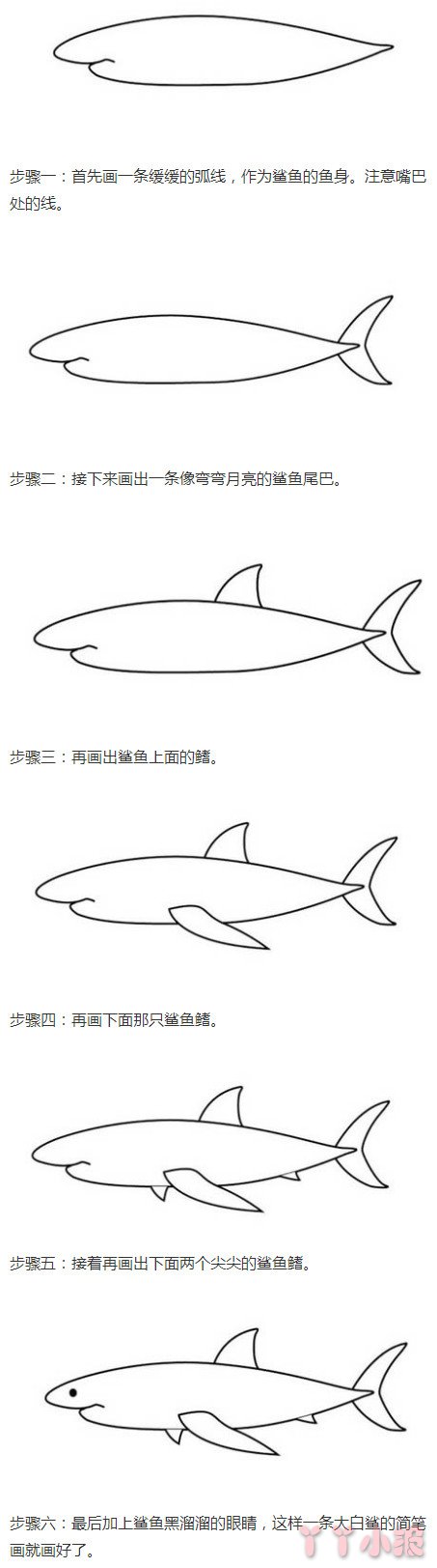 大白鲨怎么画带步骤图 鲨鱼简笔画图片