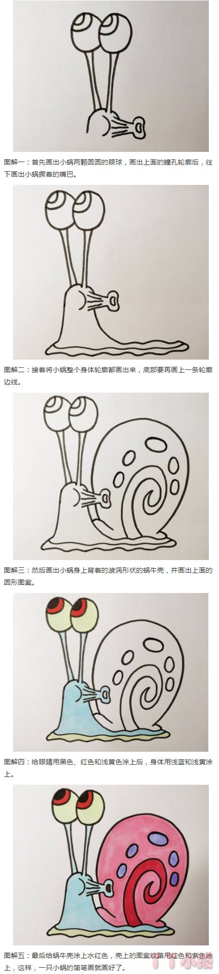 卡通蜗牛的画法步骤涂色 蜗牛简笔画图片