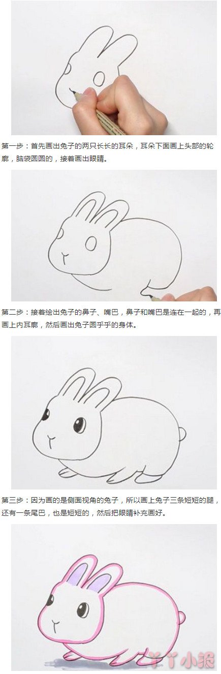 可爱小白兔的画法步骤教程 兔子简笔画图片