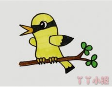 黄鹂鸟的画法步骤涂色 黄鹂鸟怎么画简单