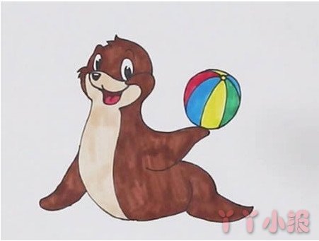 海狮顶球怎么画带步骤彩色 海狮简笔画