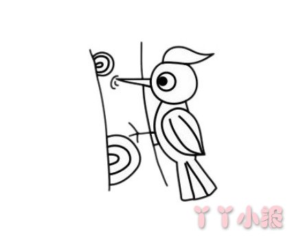 简笔画啄木鸟的画法步骤图简单又好看