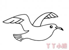 海鸥怎么画简单又漂亮 海鸥简笔画图片