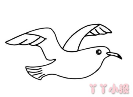 海鸥怎么画简单又漂亮 海鸥简笔画图片