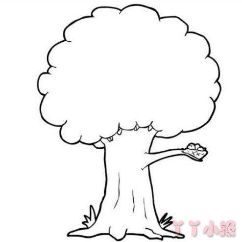 大树怎么画简单漂亮 大树简笔画图片