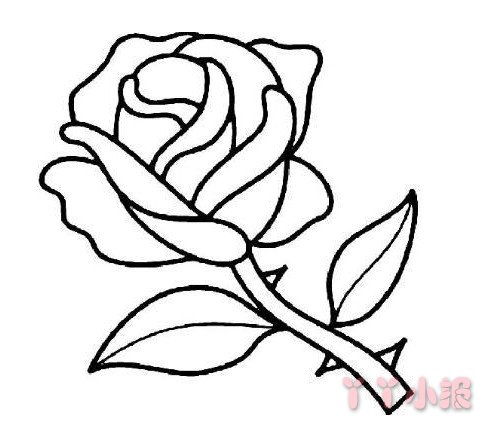 玫瑰花怎么画填色 玫瑰花简笔画图片
