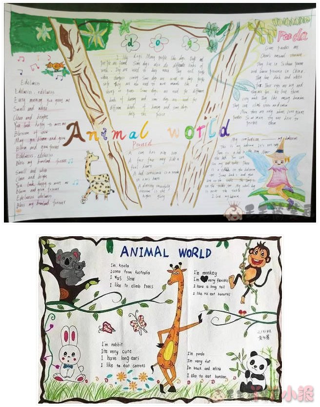 动物世界英语手抄报怎么画简单又漂亮