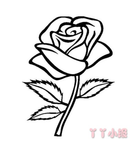 玫瑰花的画法简单又漂亮 玫瑰花简笔画