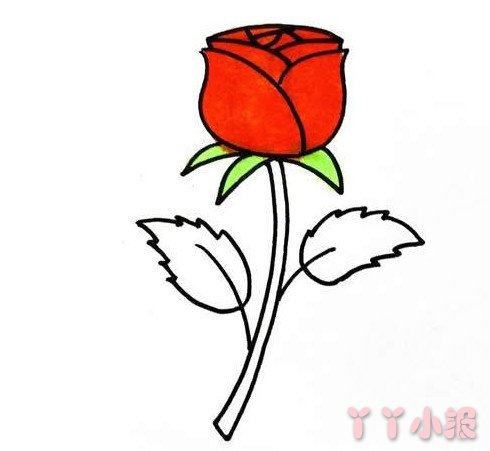 玫瑰花怎么画简单又漂亮涂色 玫瑰花简笔画图片