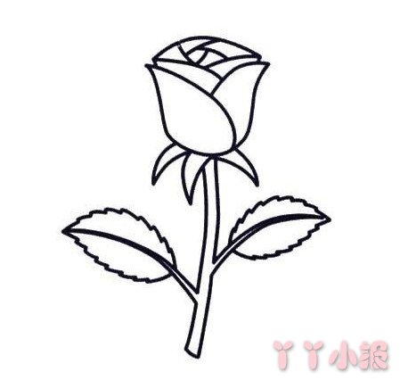 玫瑰花怎么画简单又漂亮涂色 玫瑰花简笔画图片