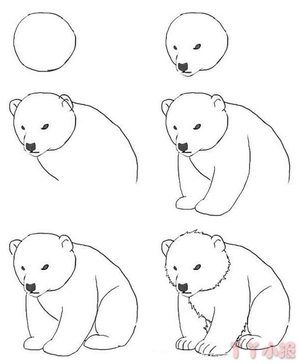 北极熊怎么画 带步骤简单又可爱