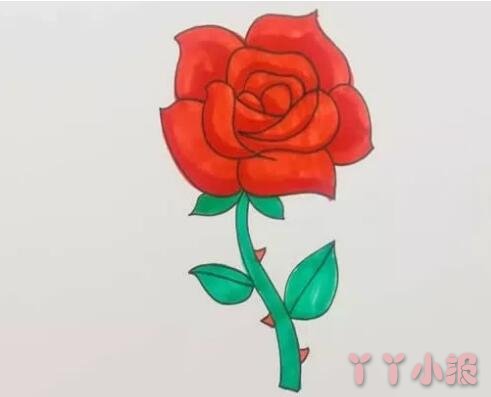 红色玫瑰花怎么画简单又漂亮涂颜色