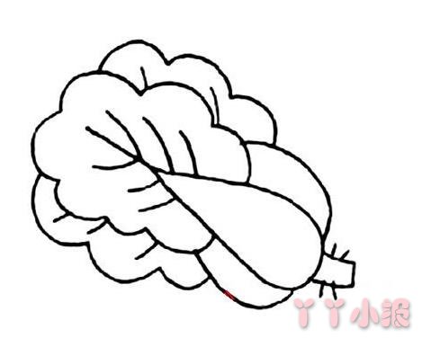 上海青小白菜简笔画怎么画简单