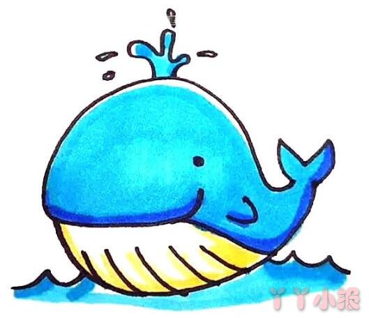 幼儿园卡通鲸鱼简笔画怎么画简单