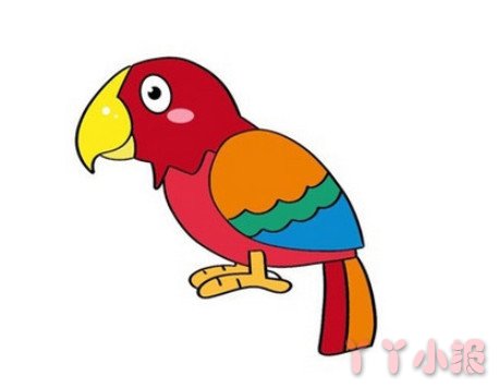 鹦鹉的画法步骤图涂色 鹦鹉简笔画图片