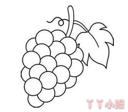 葡萄简笔画图片怎么画 葡萄的画法教程
