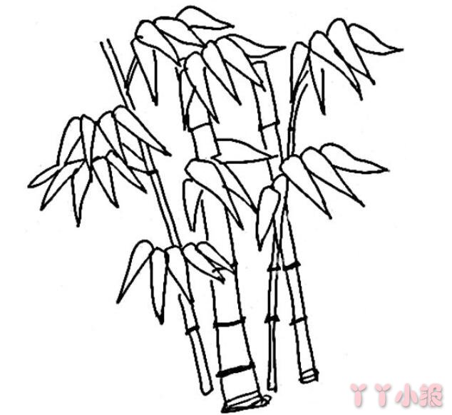 怎么画竹子简笔画教程简单又好看