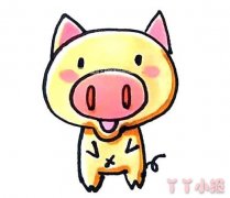 可爱小猪怎么画涂颜色 卡通小猪简笔画图片