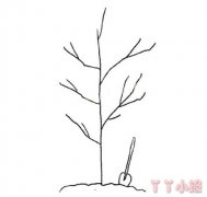 小男孩植树怎么画 春天小树简笔画图片
