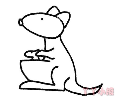 怎么画袋鼠简笔画画法教程简单好看